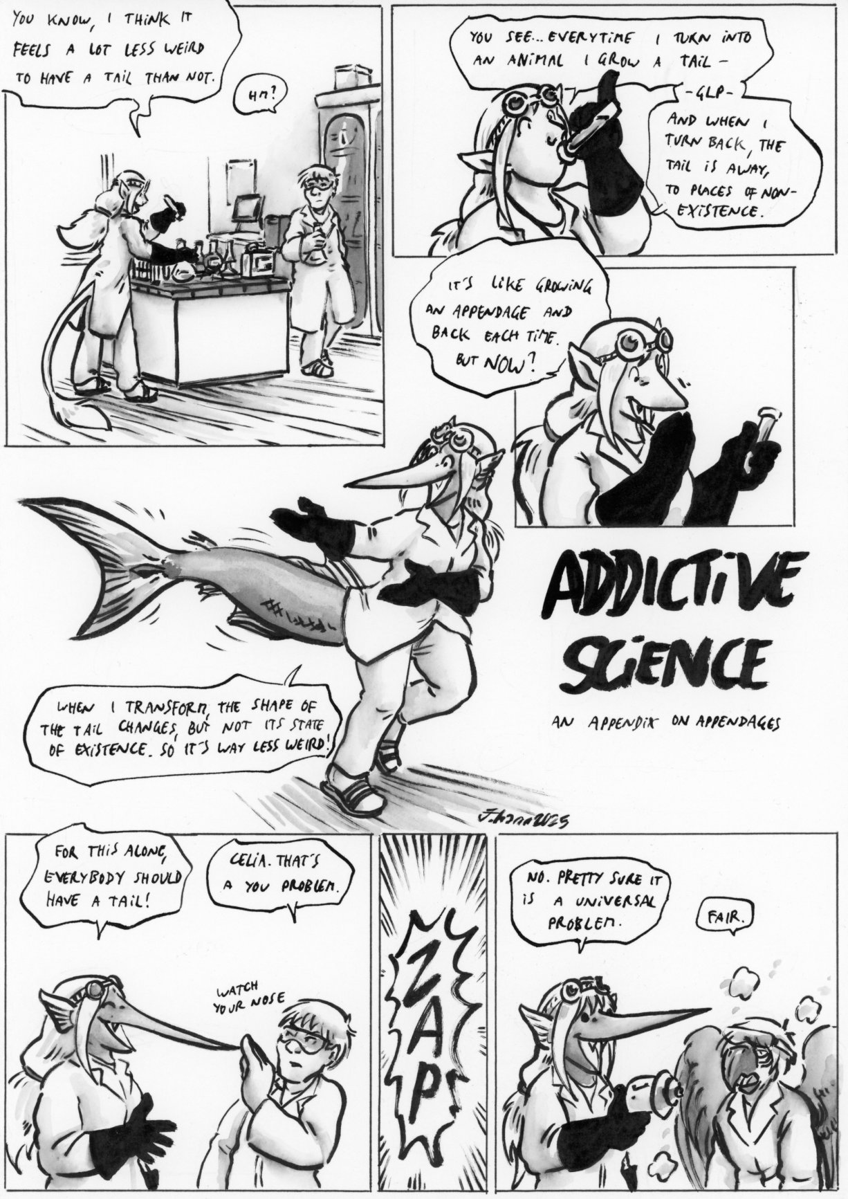 an appendix on appendages