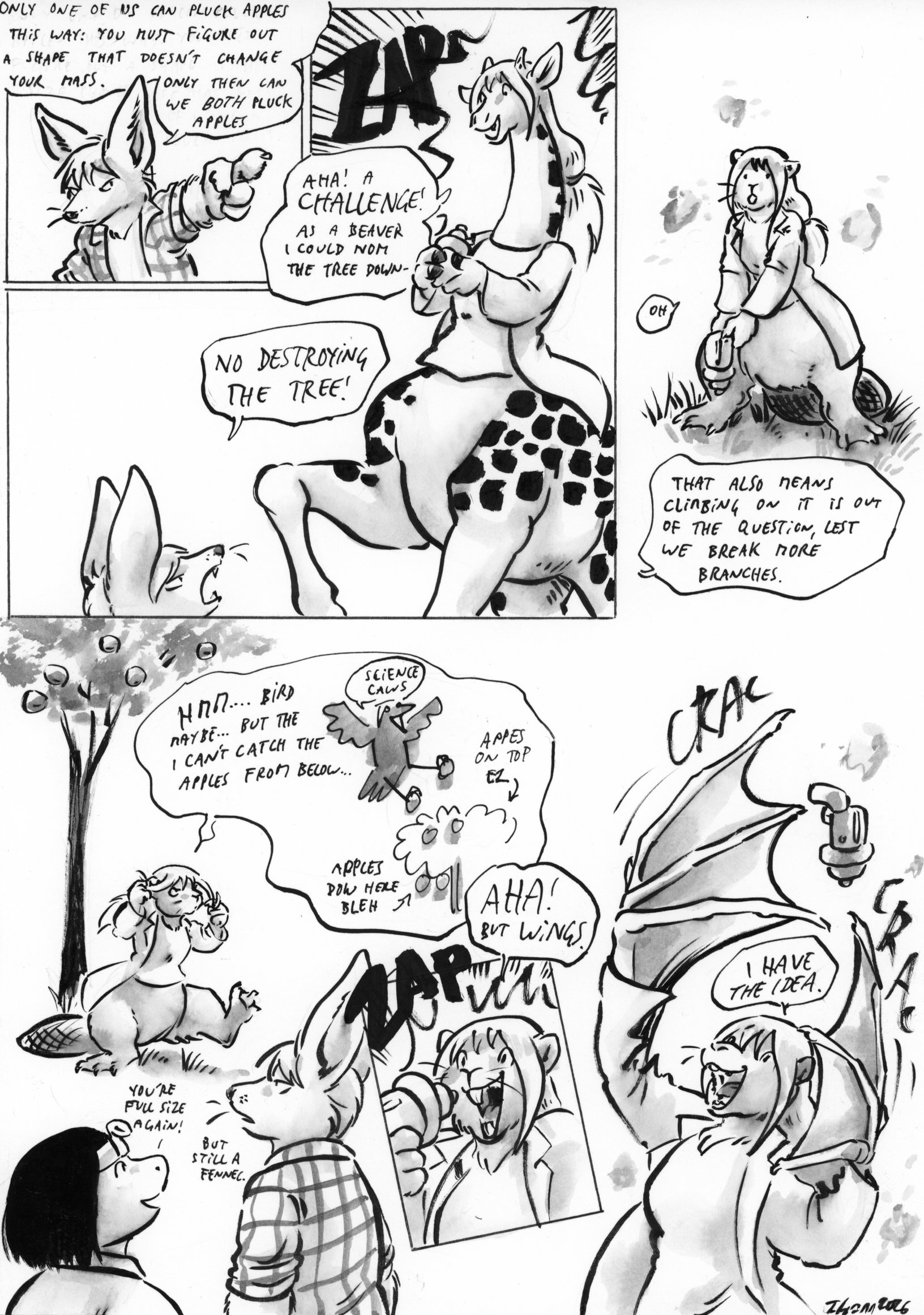 apples-3