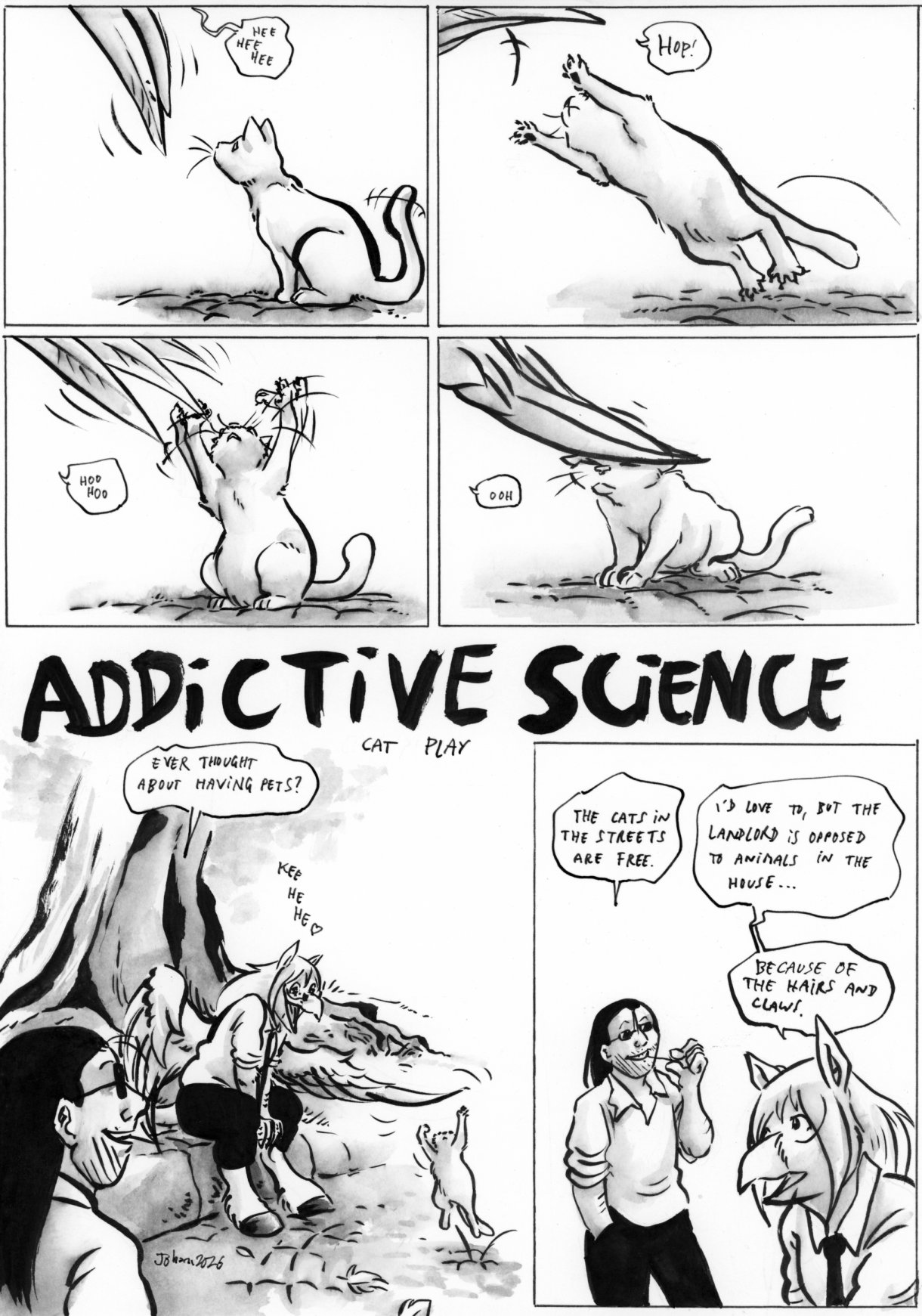 AS-cat play-1