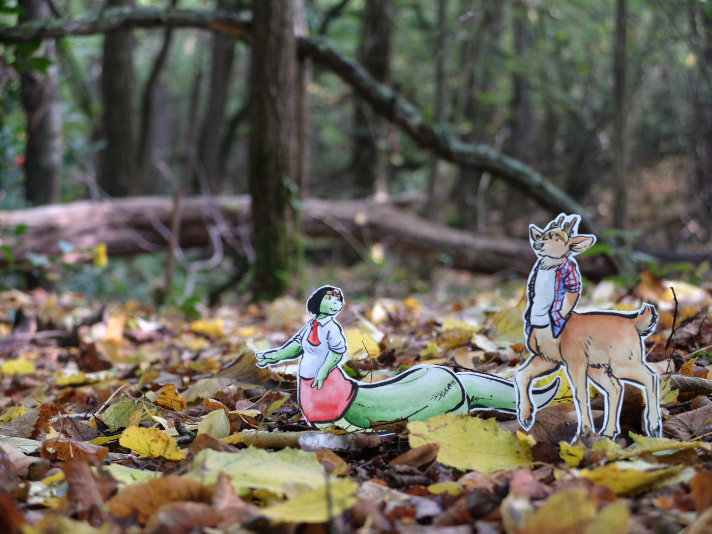 A hike
